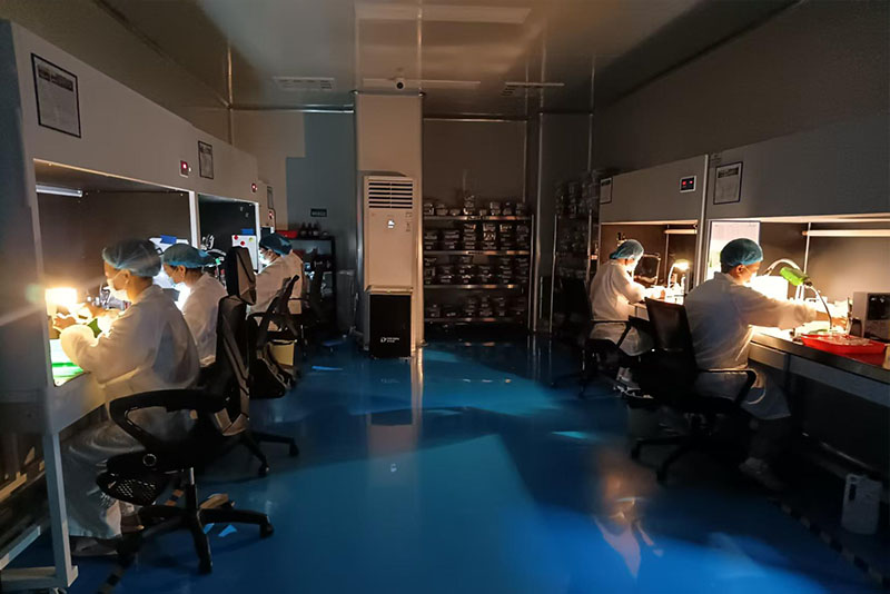 Testing workshop